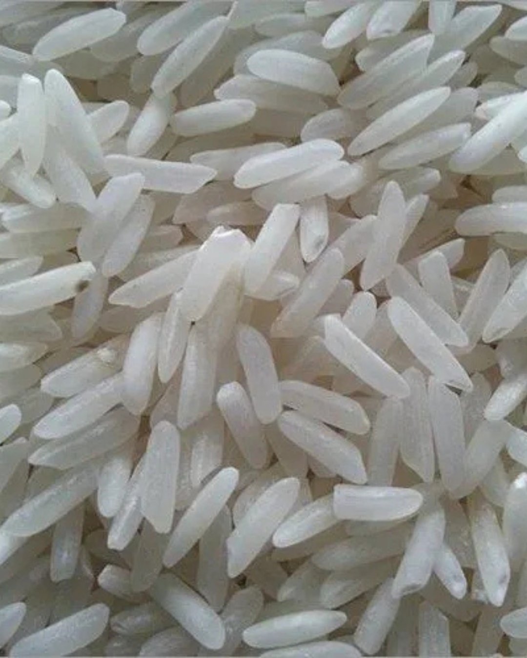 APT GLOBAL EXIM - PREMIUM PRODUCTS (4)